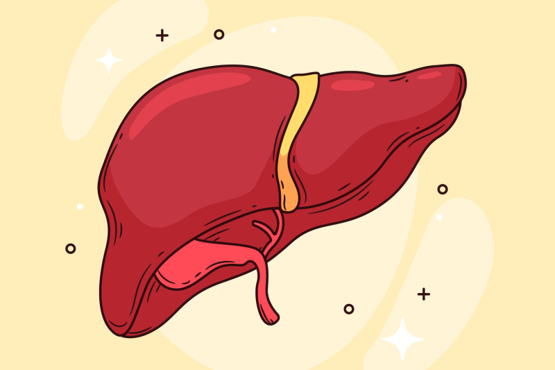 Imagem de Esteatose Hepática Não Alcoólica