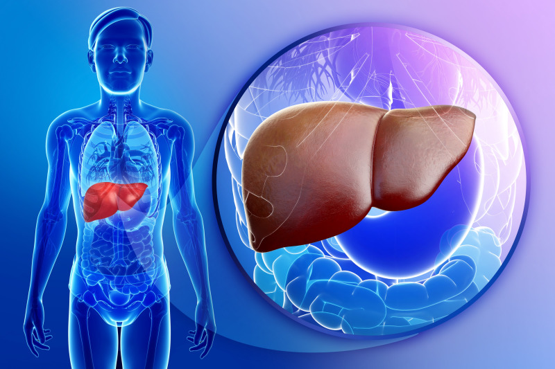 Imagem de Biópsia Hepática Percutânea