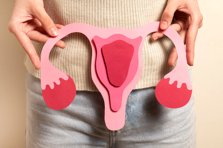 Imagem de Câncer de Ovário é Silencioso