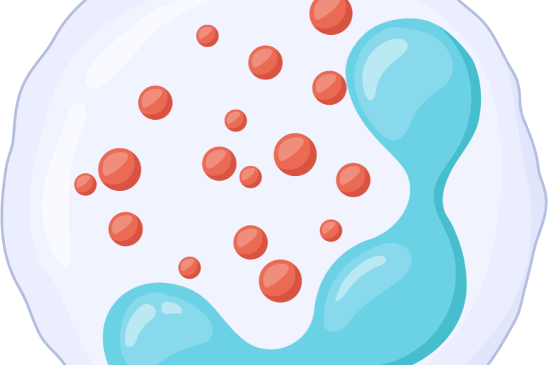 Imagem de Doenças Infecciosas 