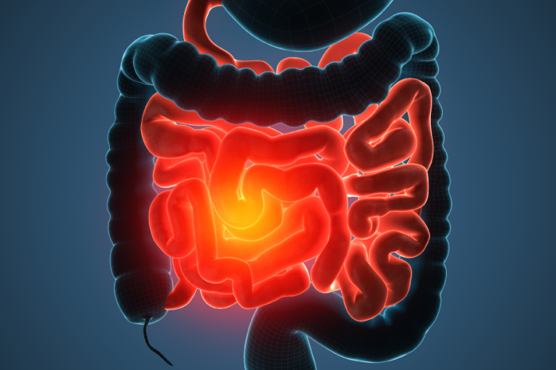 Imagem de Análise Gastrointestinal