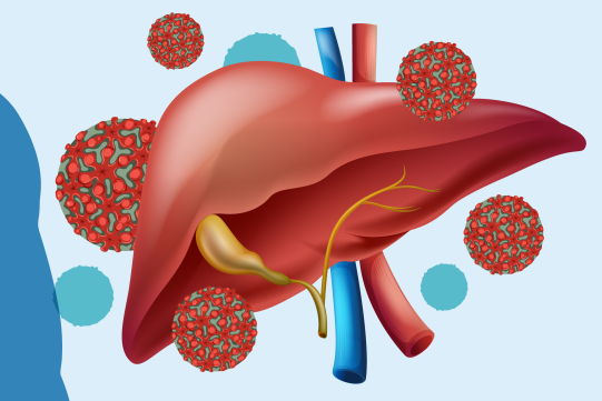 Imagem de Luta Contra as Hepatites Virais