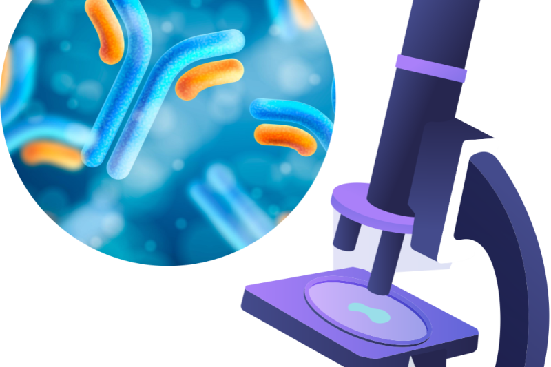 Imagem de Técnica de imunofluorescência 