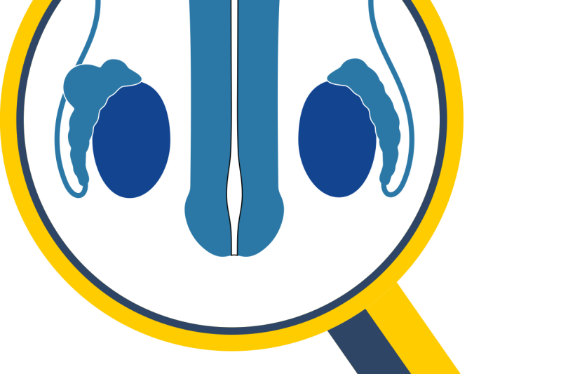 Imagem de CÂNCER DE TESTÍCULO | Faça o autoexame