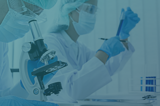 Imagem de Microscopia Óptica