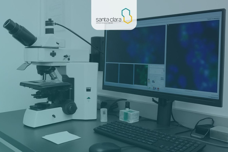 Imagem de Hibridização in situ