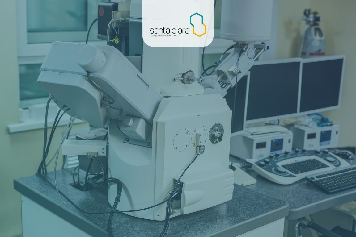 Background de Microscopia Eletrônica